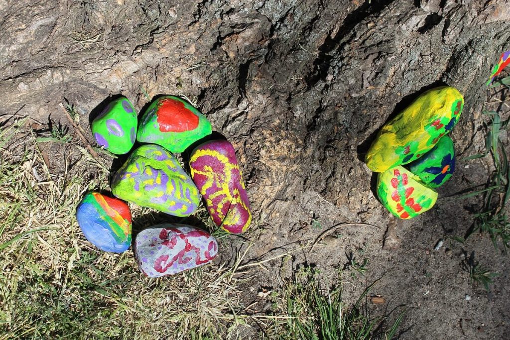Różnokolorowe kamienie na tle drzewa