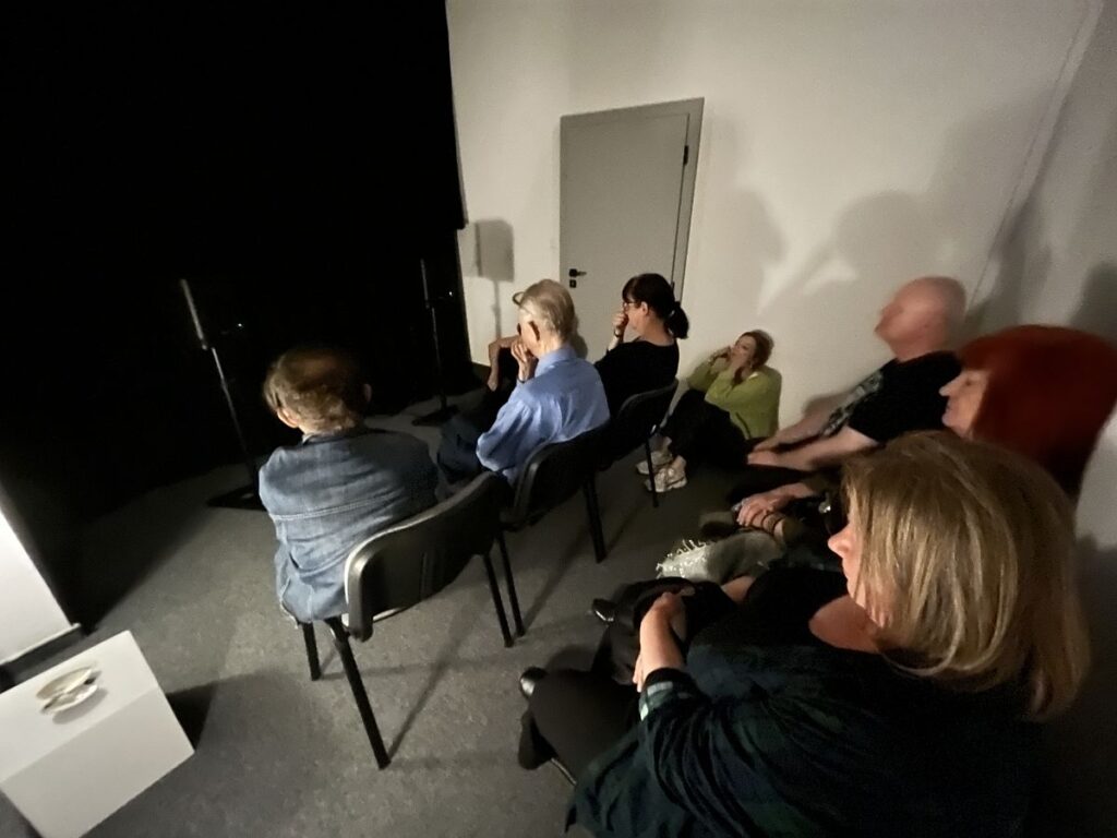 uczestnicy podczas prezentacji